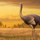 Artist’s impression of Pachystruthio dmanisensis, an unusually large bird that lived nearly 2 million years ago in Europe.